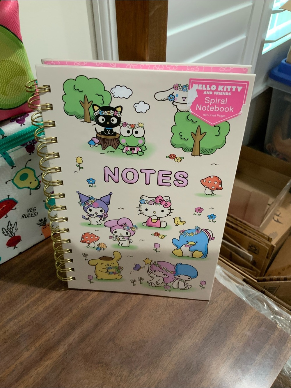Hello Kitty Pink & Gold Spiral Notebook with Sanrio Friends